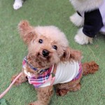 251018133810528IF_1_BURST251018133810528_COVER~3_copy_616x844