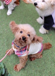 251018133810528IF_1_BURST251018133810528_COVER~3_copy_616x844