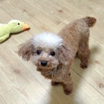 251018212144292IF_1_BURST251018212144292_COVER~2_copy_746x1151