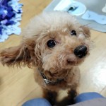 251019163612547~2_copy_921x1335