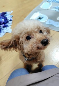 251019163612547~2_copy_921x1335