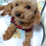 251106162409001~2_copy_576x940