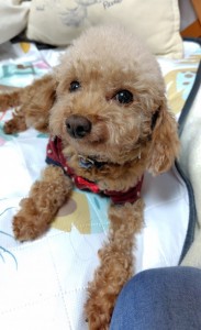 251106162409001~2_copy_576x940