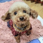 251106180722996~3_copy_576x931