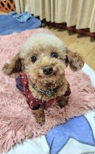 251106180722996~3_copy_576x931