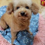 251107180943962~2_copy_576x1024