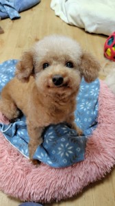 251107180943962~2_copy_576x1024