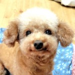 251107180943962~2_copy_576x102411