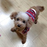 251109210809660~2_copy_576x928