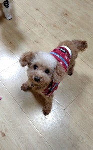 251109210809660~2_copy_576x928