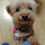 251112191950807~2_copy_576x954