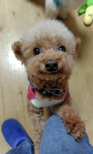 251112191950807~2_copy_576x954