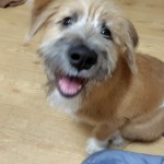 251124211443668_copy_576x1024