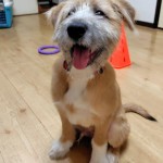 251124221802754~2_copy_576x911_1