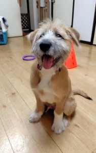 251124221802754~2_copy_576x911_1