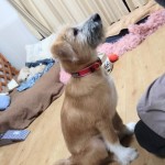 251124223629826~2_copy_459x816_1