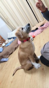 251124223629826~2_copy_459x816_1