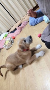 251124223643181~2_copy_459x816_2