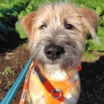 251126092023635~2_copy_576x838_1