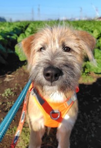 251126092023635~2_copy_576x838_1