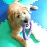 251127121055524_copy_338x490