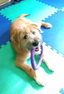 251127121055524_copy_338x490