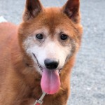 PXL_20250721_082839048.NIGHT~2