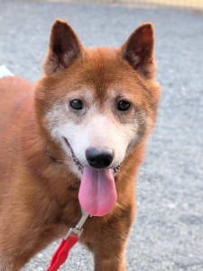 PXL_20250721_082839048.NIGHT~2