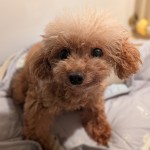 PXL_20250829_075231523.PORTRAIT