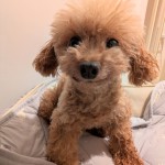 PXL_20250829_075402054~2