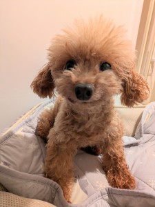 PXL_20250829_075402054~2