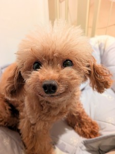 PXL_20250829_075605713.PORTRAIT~3