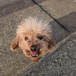 PXL_20250922_072841445