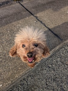 PXL_20250922_072841445