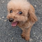 PXL_20250925_073944277.PORTRAIT