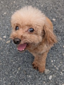 PXL_20250925_073944277.PORTRAIT