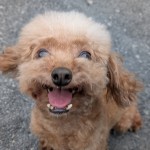 PXL_20250925_074206992.PORTRAIT~2