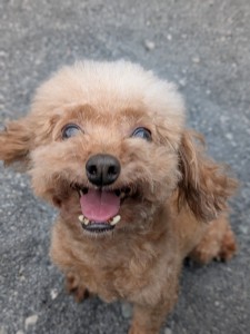 PXL_20250925_074206992.PORTRAIT~2