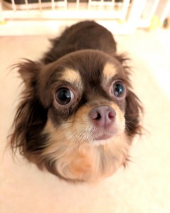 PXL_20251129_064110160