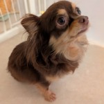 PXL_20251129_064122390~2