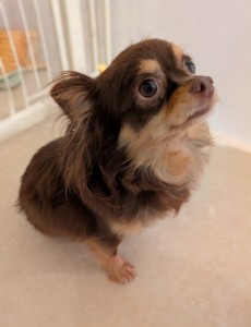 PXL_20251129_064122390~2