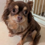 PXL_20251129_064217540~2