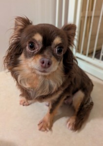 PXL_20251129_064217540~2