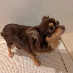 PXL_20251129_064256346