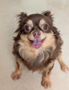 PXL_20251204_060610180.PORTRAIT~2