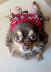 PXL_20251216_062645615.PORTRAIT~2