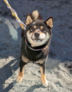 PXL_20260104_035724966.PORTRAIT