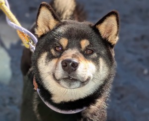 PXL_20260104_035724966.PORTRAIT222