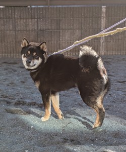 PXL_20260104_035816355.PORTRAIT