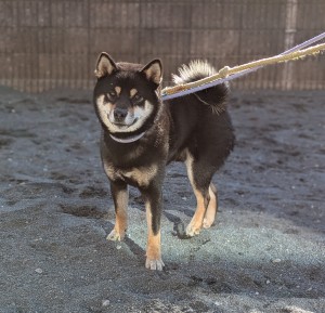 PXL_20260104_035817010.PORTRAIT